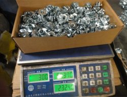 ქარხნის ხედი